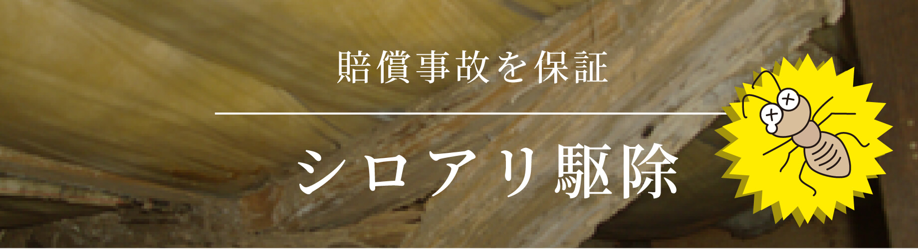 賠償事故を保障　シロアリ駆除