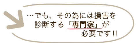 火災保険